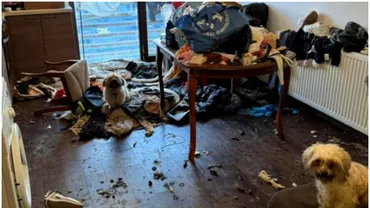 Dezastrul lasat de o chiriasa din Bragadiru Politistii au fost socati cand au intrat in apartamentul abandonat