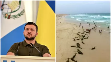 Volodimir Zelenski acuza Rusia de ecocid Zeci de mii de delfini din Marea Neagra au murit