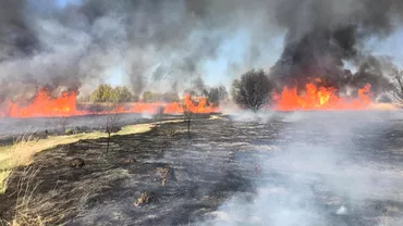 Incendiu major de vegetatie in Delta Vacaresti Au ars aproximativ 15000 de metri patrati Update