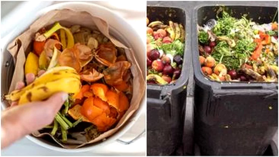 Risipa alimentara in Romania Cata mancare aruncam de fapt la gunoi