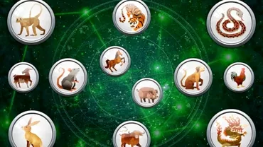 Zodiac chinezesc pentru sambata 25 februarie 2023 Oportunitate interesanta pentru caine
