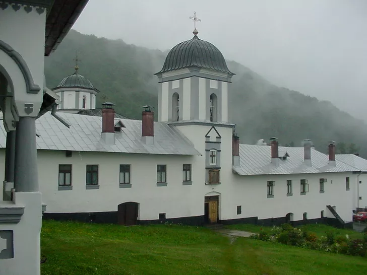 manastirea frasinei