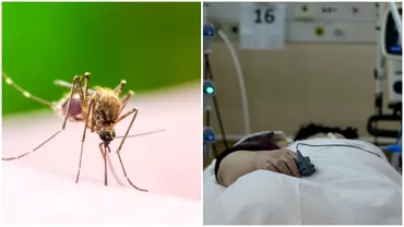 Caz de malarie depistat in Romania In ce stare se afla barbatul in varsta de 41 de ani
