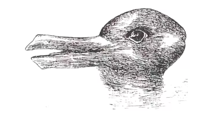iluzie optică rață iepure