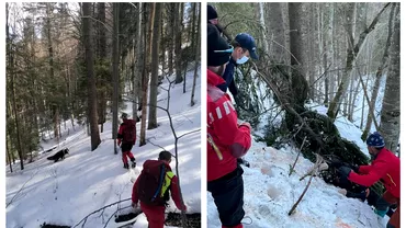 Bărbat din Azuga care ieșise la alergat, găsit mort în munți. Acesta ar fi fost atacat de un urs