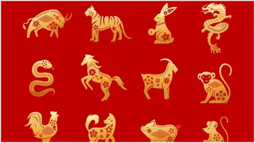 Zodiac chinezesc pentru vineri 15 iulie 2022 Maimuta planuieste o noua afacere