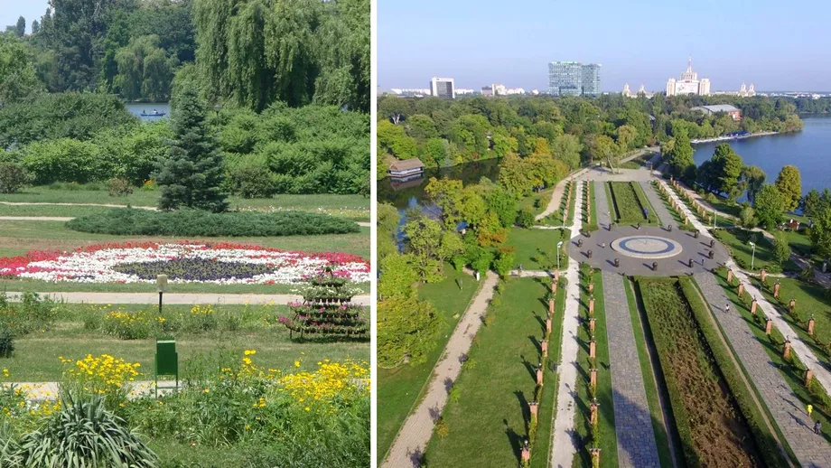 Cum a ajuns sa coste amenajarea si intretinerea parcurilor din Bucuresti peste 800 milioane de euro Ce primarie de sector e lider al cheltuielilor