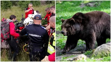 Ursul care a ucis un cioban în vârstă de 26 de ani a fost găsit mort, în pădure