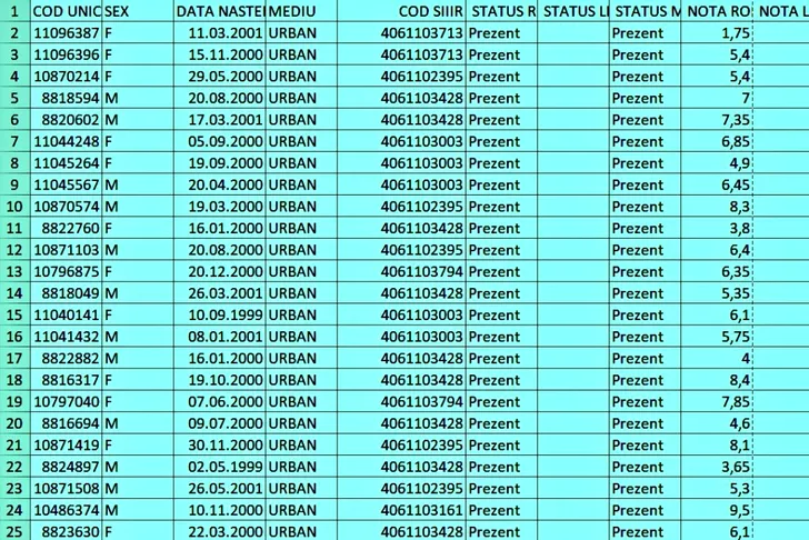 Așa vor arăta listele cu notele obținut la Evaluarea Națională. Codurile corespund numelor candidaților. Sursa foto: edupedu.ro