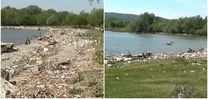 Localitatea din Romania in care au ajuns tone de gunoaie din Europa Asa e de ani de zile