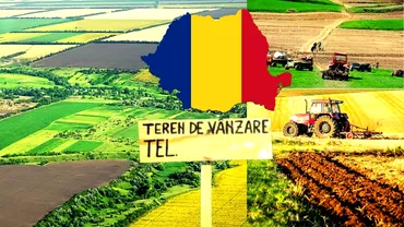 Cum a ajuns Romania un El Dorado agricol Tara cu cel mai ieftin pamant din Europa