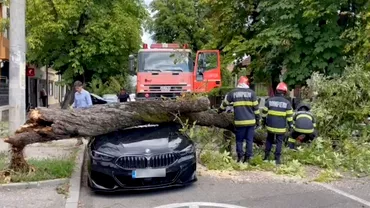 Video Pompierii din Pitesti au scapat un copac peste un BMW de 100000 de euro Puteam sa jur ca asa se intampla