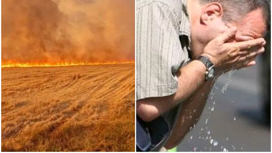 Romania se topeste 1200 de hectare au ars in ultimele 24 de ore o persoana a murit Masurile luate de Guvern