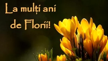 Cele mai frumoase si haioase mesaje smsuri si felicitari de Florii