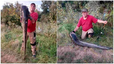 Ce a scos un pescar din raul Mures Monstrul are aproape 2 metri
