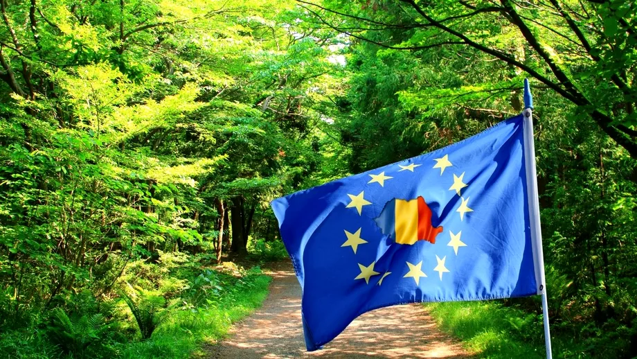 Ce presupune planul UE pentru protejarea padurilor Cum a ajuns Romania sa fie laudata de oficialii europeni