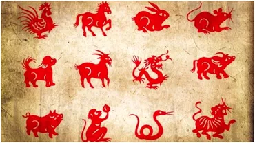 Zodiac chinezesc pentru vineri 27 octombrie 2023 Tensiuni in relatia de cuplu pentru Tigru