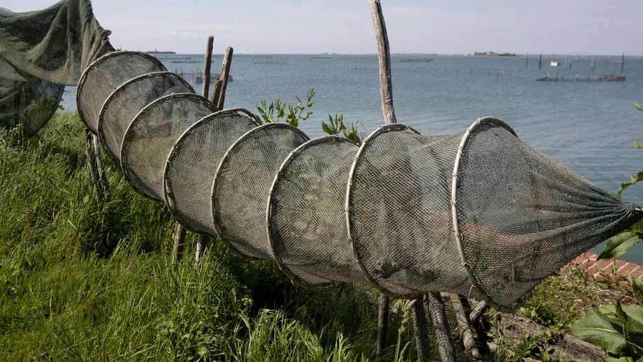 Pescuitul in Delta Dunarii este interzis Cat timp dureaza masura prohibitiei