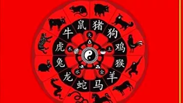Zodiac chinezesc pentru vineri 28 mai 2021 Capra isi consuma energia cu lucruri inutile