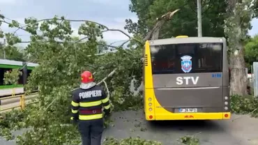 Vantul puternic a facut ravagii in Bucuresti O persoana a fost ranita si 19 masini avariate de copacii doborati de rafale