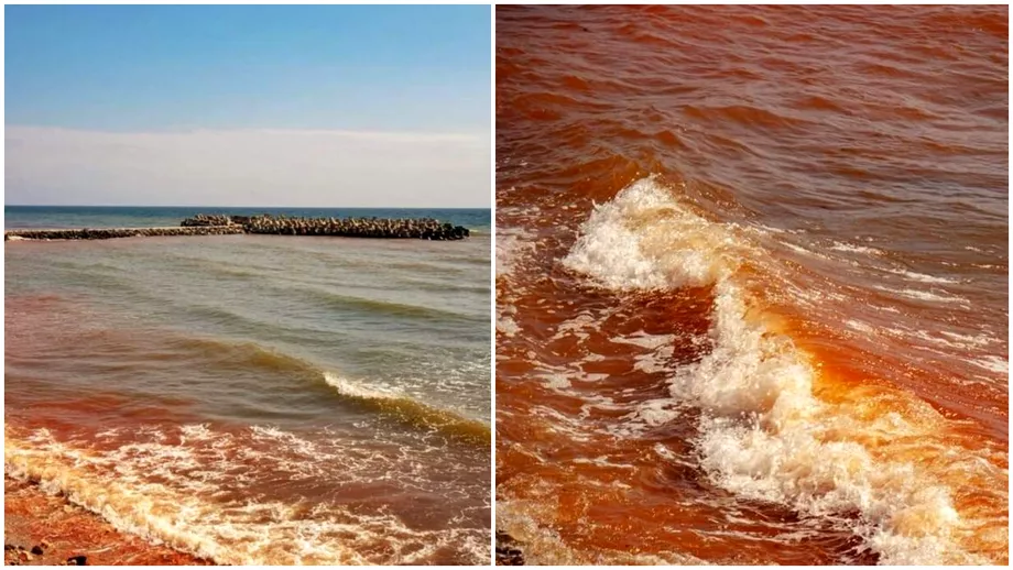 Fenomen rar in statiunea Olimp Marea Neagra a devenit rosie Care este explicatia biologilor