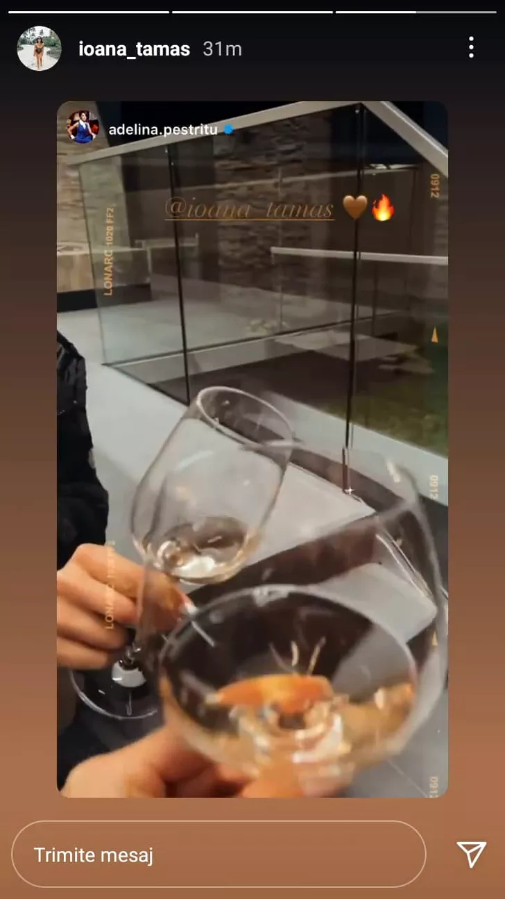 Ioana Tamas si Adelina Pestritu ciocnesc un pahar de vin. Sursa foto: captura instagram Ioana Tamas