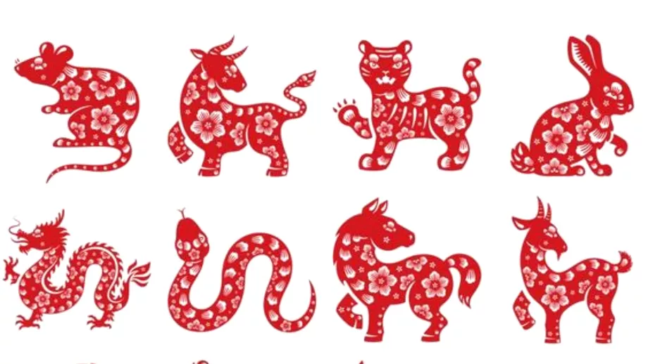 Zodiac chinezesc pentru miercuri 26 ianuarie 2022 Discutii aprinse pentru Tigru