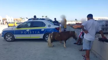 Ponei maltratati pe plaja de la Navodari Politistii au confiscat animalele si iau amendat pe proprietari