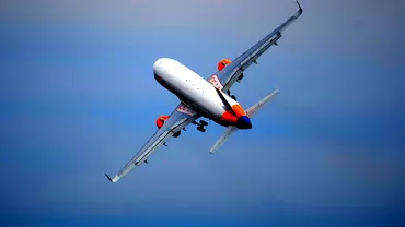 Incident aviatic la Cluj O pasare a intrat in motorul unui avion care zbura spre Grecia
