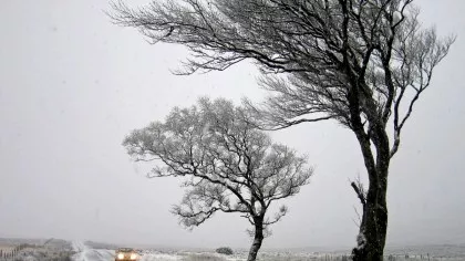 Iarnă în toată regula în România. Ninge abundent, s-a lansat avertisment