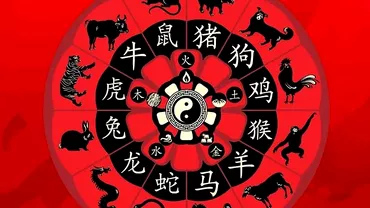 Zodiac chinezesc sambata 17 iunie 2023 Mistretul e bulversat Iepurele ramane singur