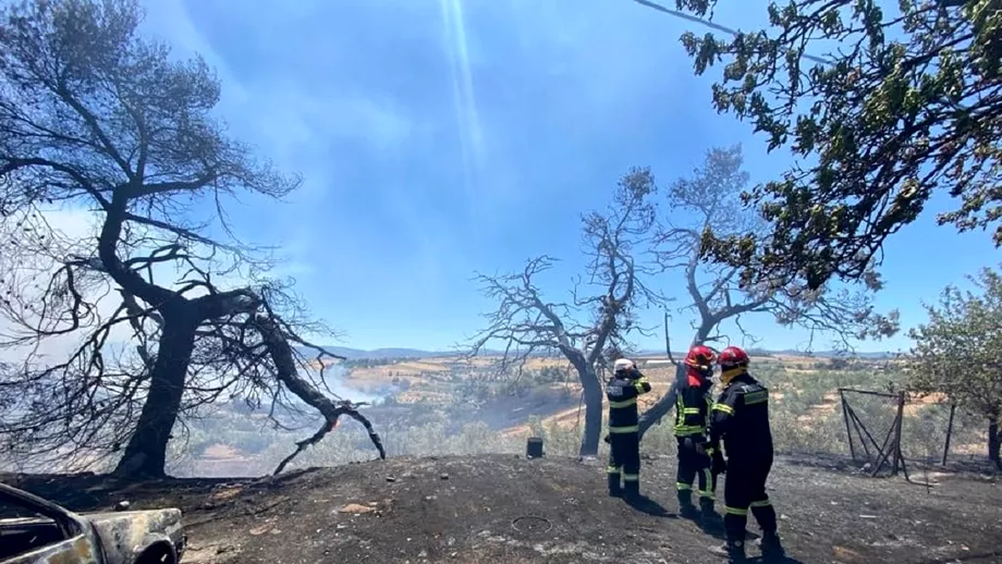 Video Incendii puternice in Grecia in mai multe zone turistice Pompierii romani participa la misiuni Update