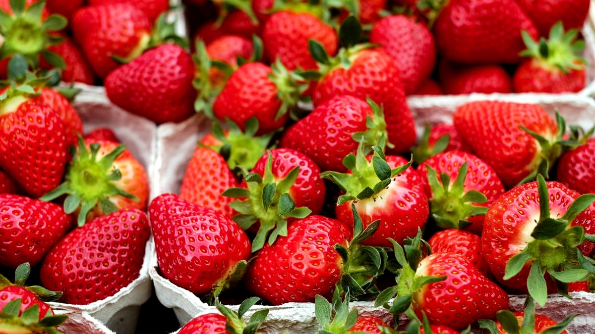 Primele căpșuni românești au apărut în piețe mai devreme. Cât a ajuns să coste un kilogram în 2024