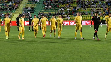 Greselile de arbitraj din meciul cu CFR Cluj iau pus capac CS Mioveni se gandeste sa se retraga din campionat