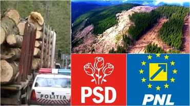 Ciuma rosie si mafia portocalie atac frontal asupra padurilor din Romania Istoricul unui minister fara rezolvari