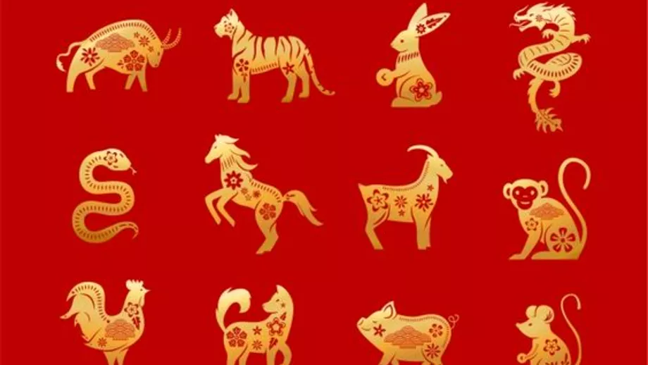 Zodiac chinezesc pentru vineri, 3 decembrie 2021. Maimuța se bucură de liniște
