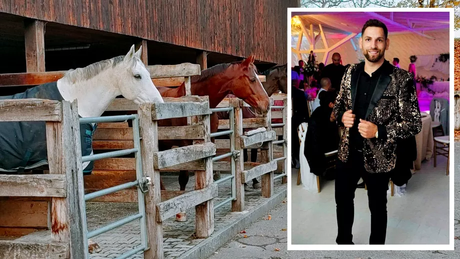 Sacrificiile unui artist Cum a ajuns cantaretul Gabriel Stoica sa munceasca la o ferma de cai in strainatate Imi era dor de Romania