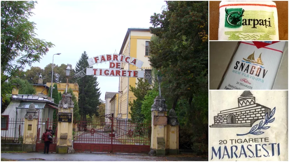 Cum a fost pus pe butuci tutunul românesc! Carpați, Snagov, Mărășești, țigările ucise de investitorii aduși să le salveze