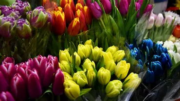 Locul de unde putem cumpara mult mai ieftin un buchet de flori pentru 1 si 8 Martie