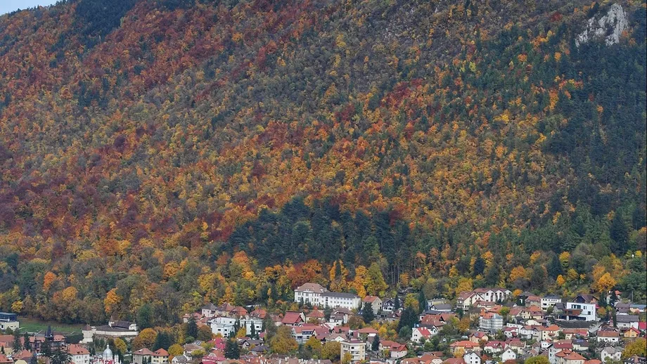 Muntele din Romania care arata ca toamna in plina vara Cum explica specialistii fenomenul