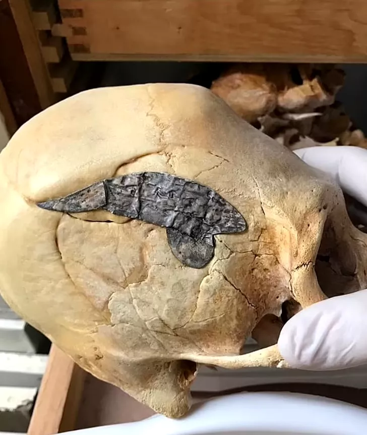 Craniu alungit Peru