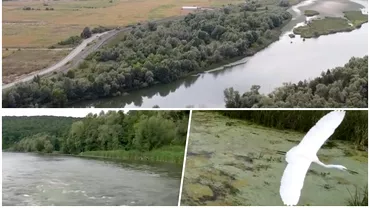 Noul loc spectaculos din Romania de care putini au auzit Coltul de Rai aparut de nicaieri te duce cu gandul al Delta Dunarii