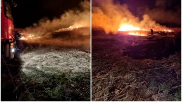 Delta Dunarii in flacari Alte 110 de hectare au ars in ultimele 24 de ore