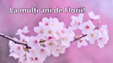 Mesaje de Florii Cele mai frumoase urari cu care iti vei impresiona oamenii dragi