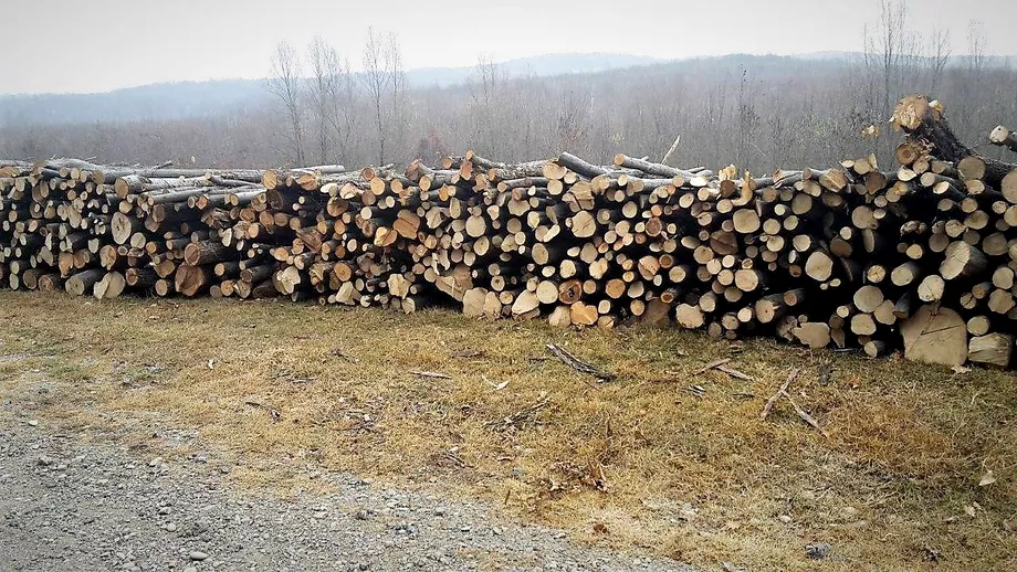Romsilva va infiinta depozite pentru lemnul de foc Sa facem o livrare directa catre consumator
