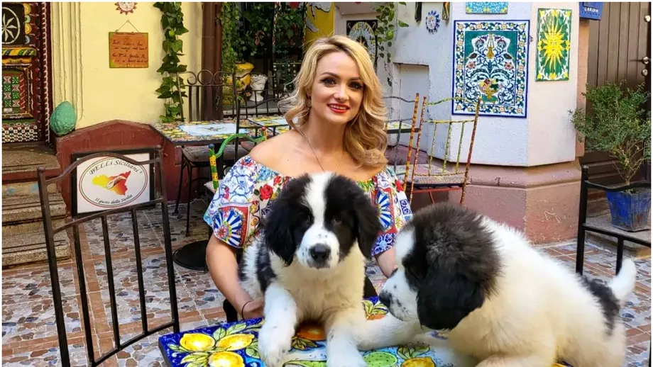 Un nou reality show va debuta la Antena Stars La Famiglia cu Amalia Bellantoni incepe in weekend