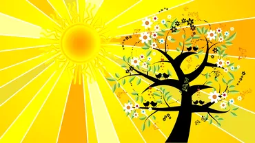 Ce efecte are solstitiul de vara din 21 iunie 2021 Ce sa nu faci in aceasta zi in functie de zodie