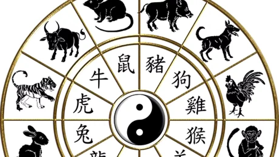 Zodiac chinezesc pentru marti 21 decembrie 2021 Cainele nu ia decizii potrivite