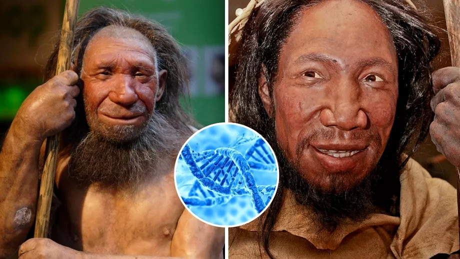 Descoperirea care ar putea schimba teoriile evolutiei umane Noua veriga lipsa intre omul preistoric si cel modern