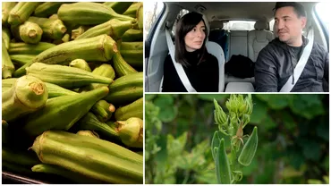 Ce sunt bamele legumele criticate de George si Lorena Buhnici Mancare de saraci